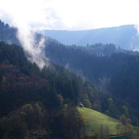 Buehlbauernhof Villa Bad Peterstal-Griesbach Kültér fotó