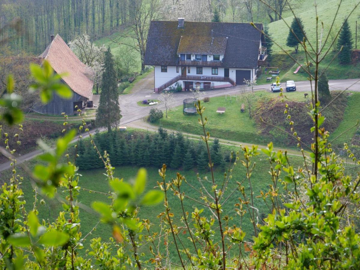 Buehlbauernhof Villa Bad Peterstal-Griesbach Kültér fotó